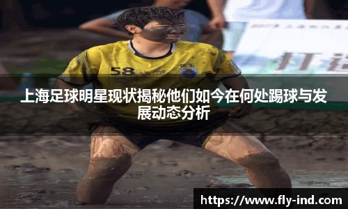 上海足球明星现状揭秘他们如今在何处踢球与发展动态分析