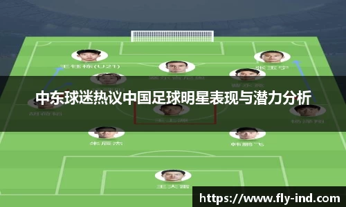 中东球迷热议中国足球明星表现与潜力分析